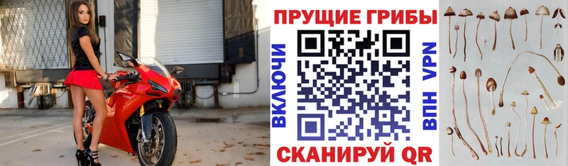 Псилоцибиновые грибы прущие грибы  Апрелевка 