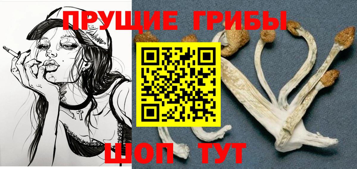 Псилоцибиновые грибы Psilocybe Апрелевка